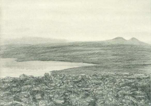 há gangar 20x29 2018