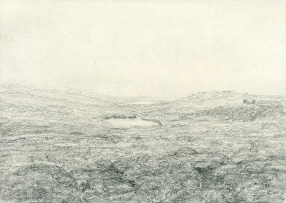 lindar auga 20x29 2018