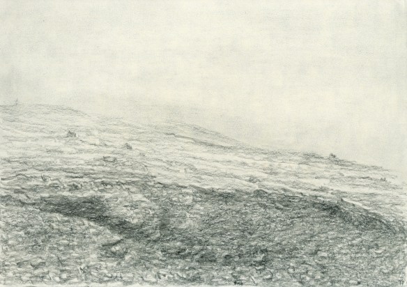 skriðu bali 20x29 2018