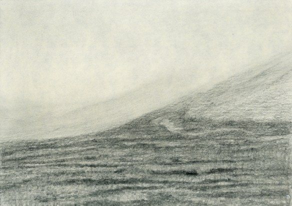 tófu hlíð 20x29 2018