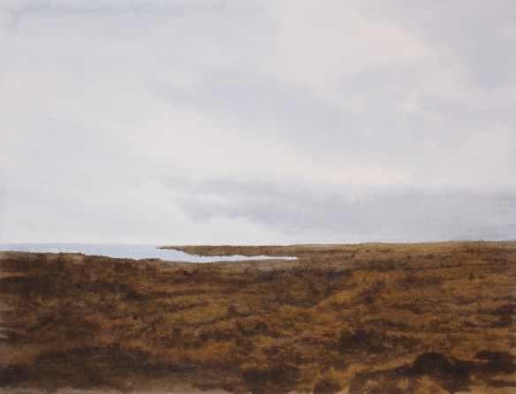 disar vík 29x39 2018