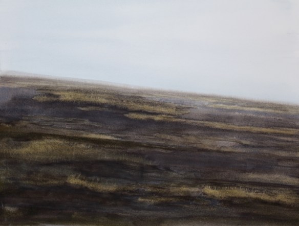 gjósku melur I 29x39 2018