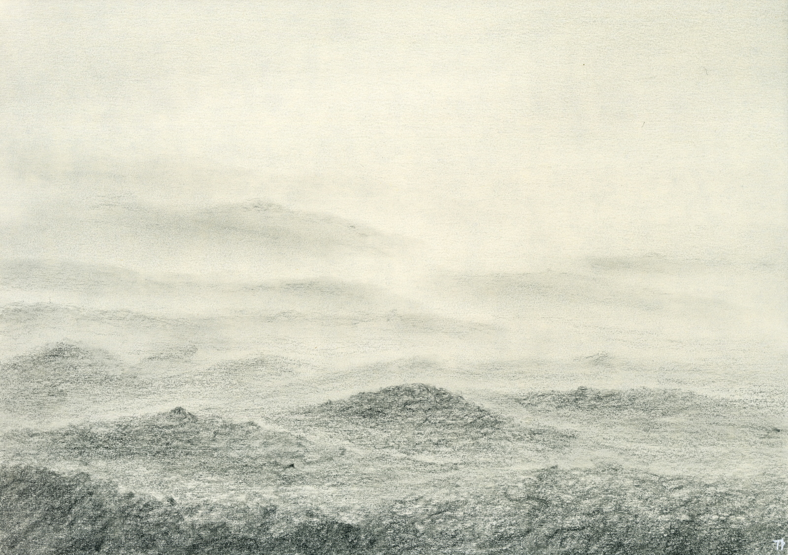 hlíða læða í hólunum 20x29 2018