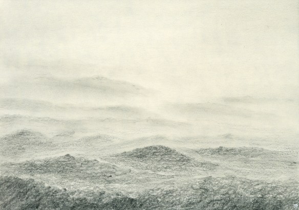 hlíða læða í hólunum 20x29 2018