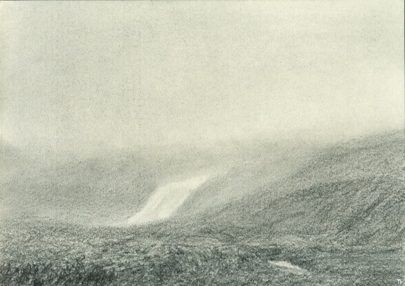 vextir í vatns skarði II 20x29 2018