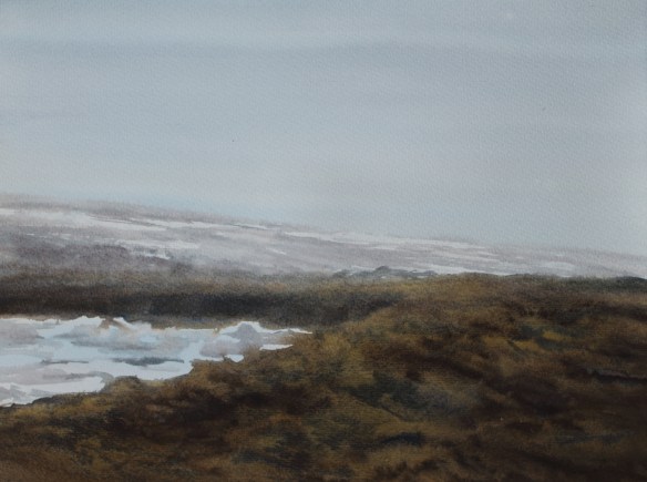 Við Fjallsárlón 30x40 2018